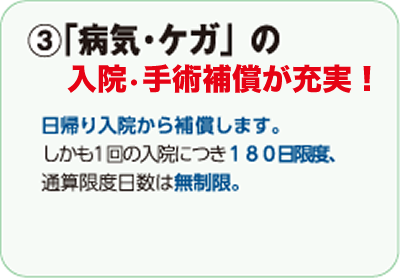 ③「病気・ケガ」の入院・手術補償が充実!